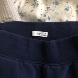 Aritzia TNA Blue Sweatpants